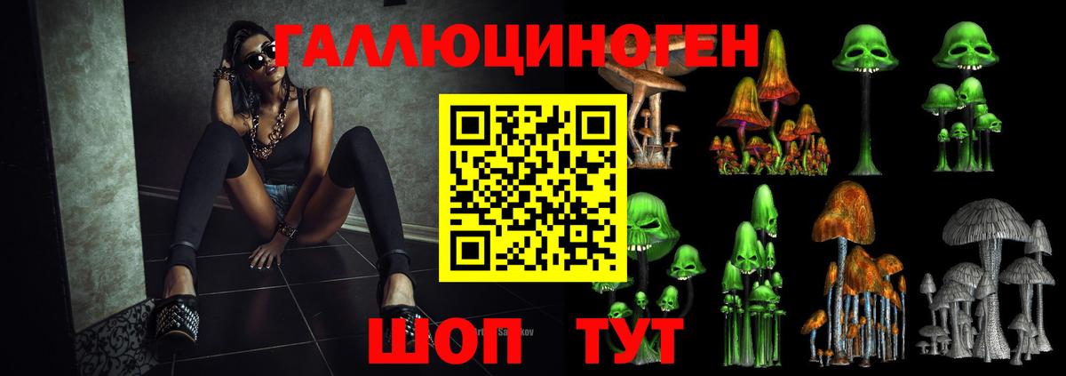 Псилоцибиновые грибы Psilocybe  Вход с VPN  Куйбышев 